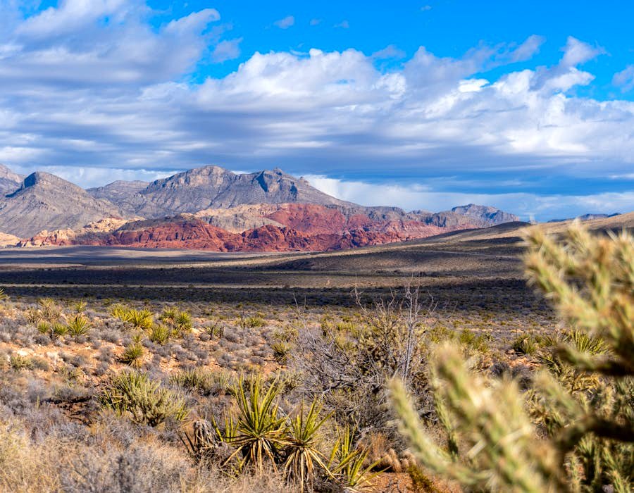 Summerlin, Las Vegas